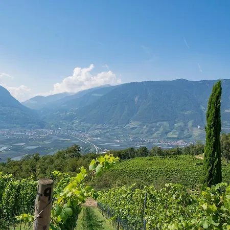 Romantik Im Weingut Eichenstein