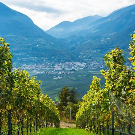 Romantik Im Weingut Eichenstein