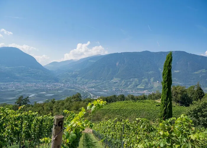 Romantik Im Weingut Eichenstein
