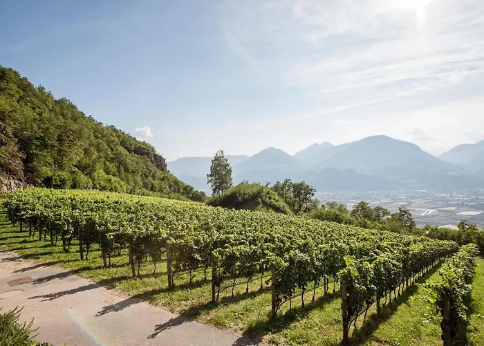 Romantik Im Weingut Eichenstein 梅拉诺