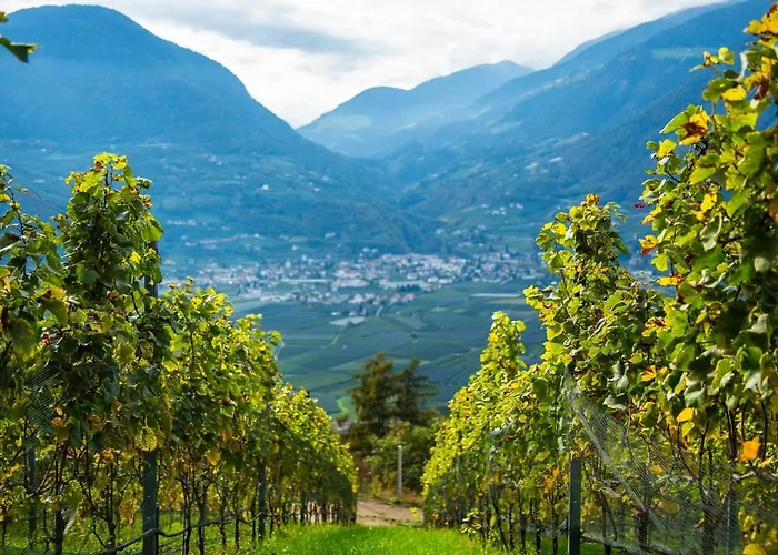 Romantik Im Weingut Eichenstein
