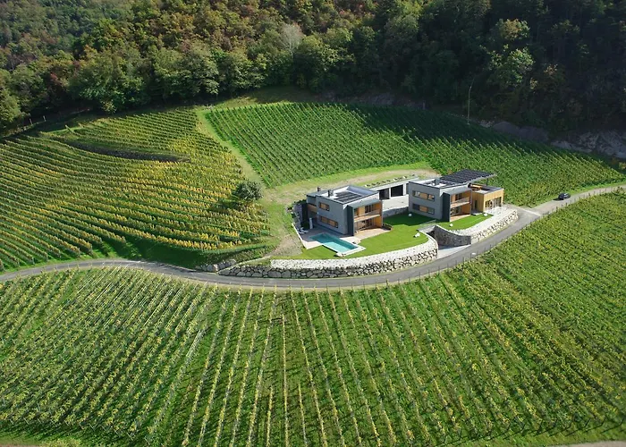 Romantik Im Weingut Eichenstein 木屋